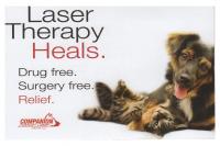 Laser Therapy Heals Banner